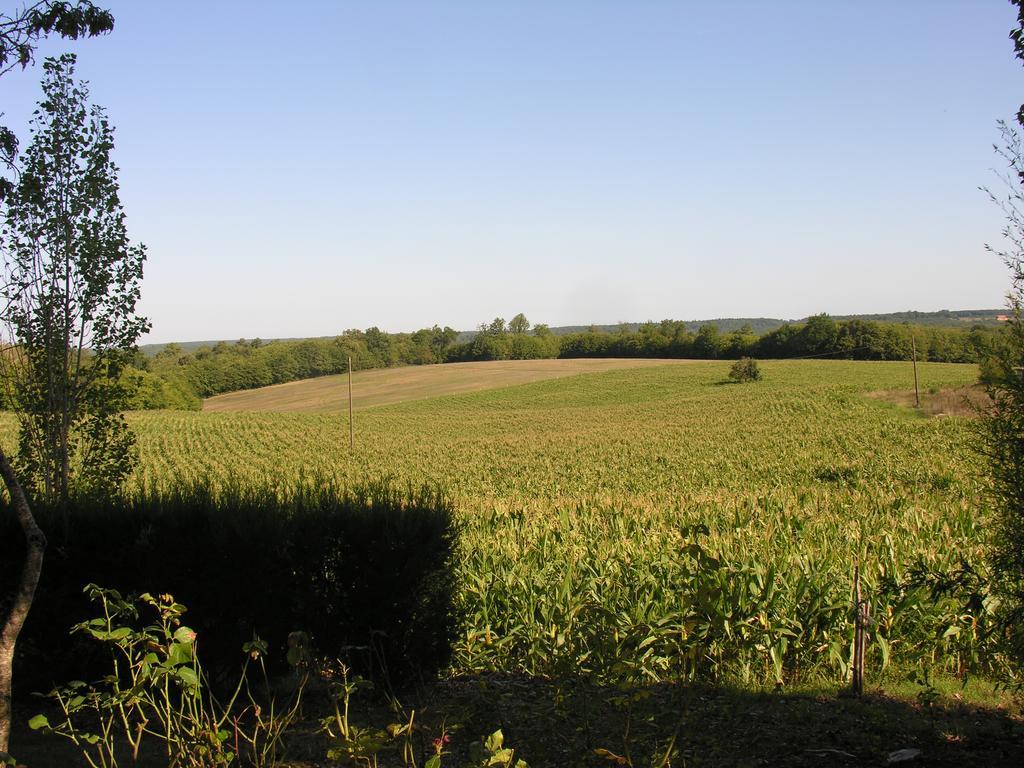 Affittacamere Chez Annie Saint-Avit-Rivière Esterno foto