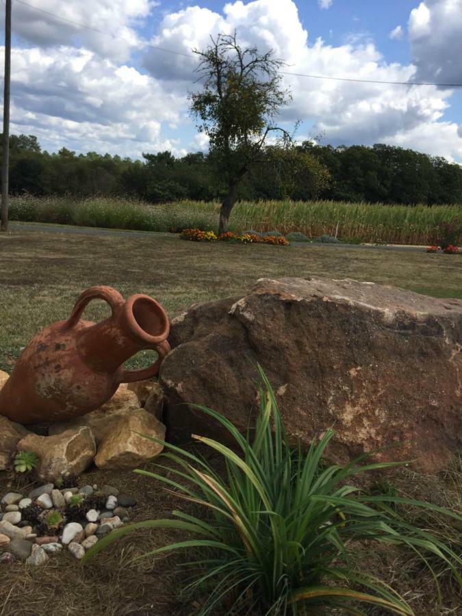 Affittacamere Chez Annie Saint-Avit-Rivière Esterno foto